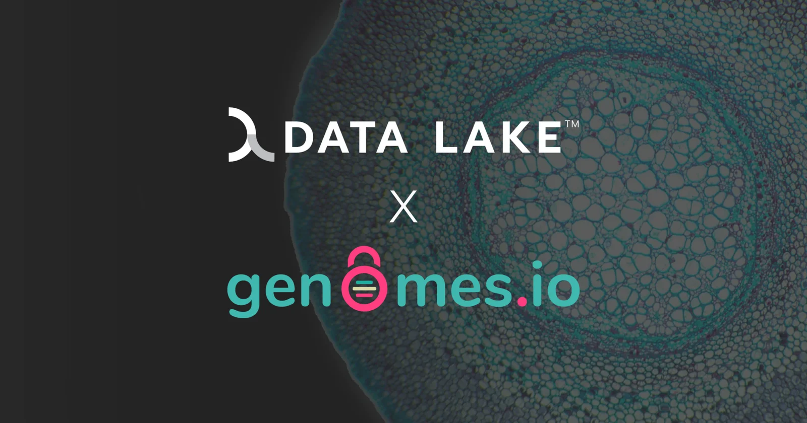 Data Lake and GenomesDAO are Teaming Up graphics Data Lake