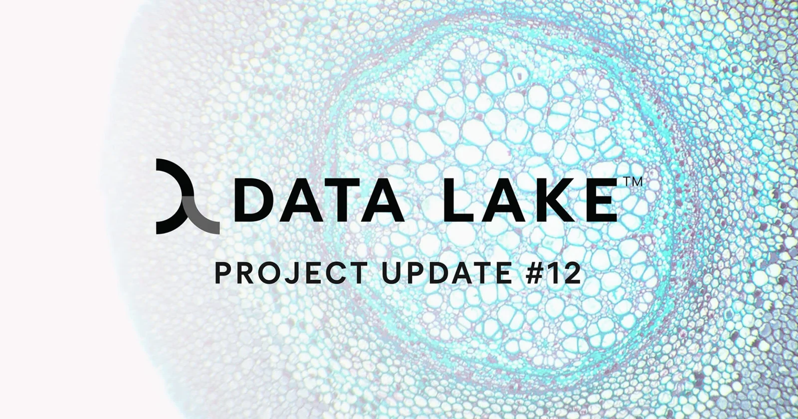 Project Update #12 April 2023 graphics Data Lake