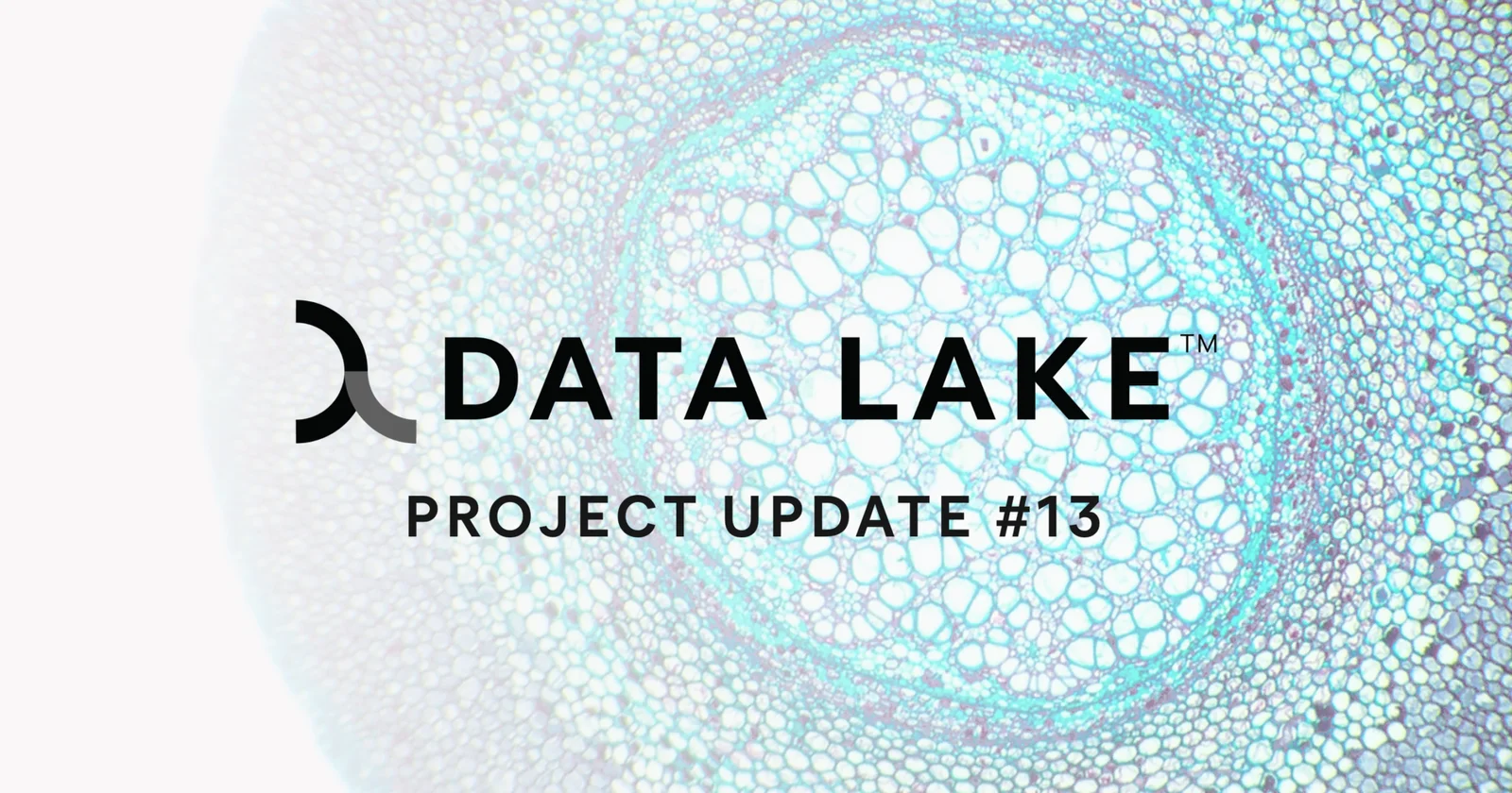 Project Update #13 May 2023 graphics Data Lake