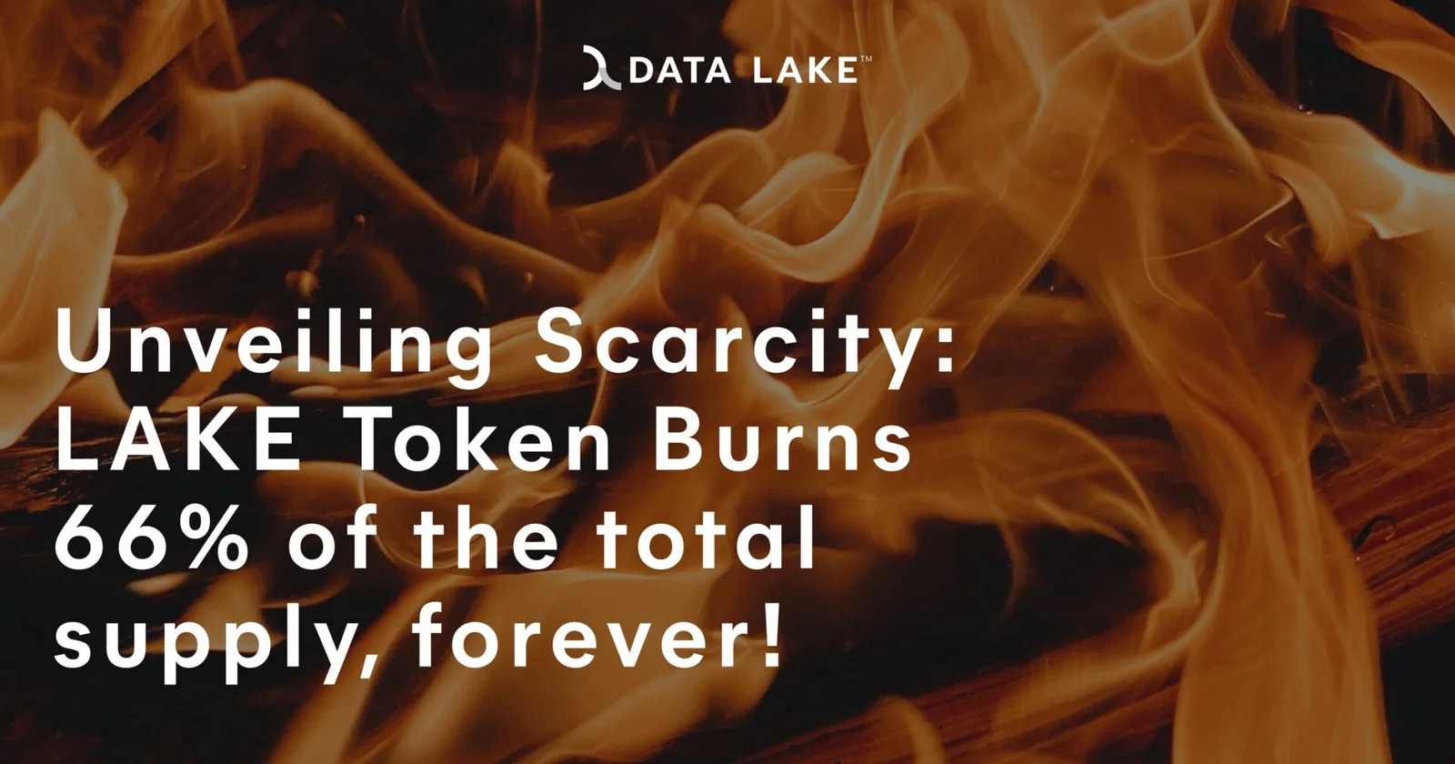 Unveiling Scarcity LAKE Token Burns 66% of the total supply forever graphics Data Lake