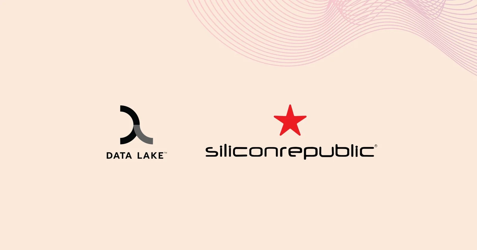 Data Lake Featured in SiliconRepublic graphics Data Lake