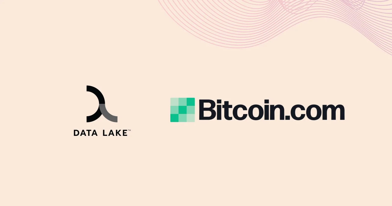 Data Lake featured on Bitcoin.com graphics Data Lake