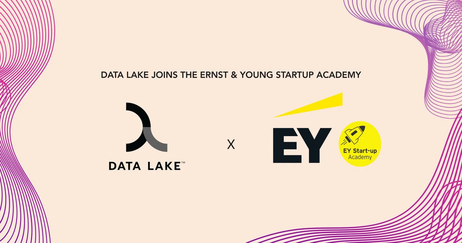 Data Lake is selected to join the EY Startup Academy graphics Data Lake