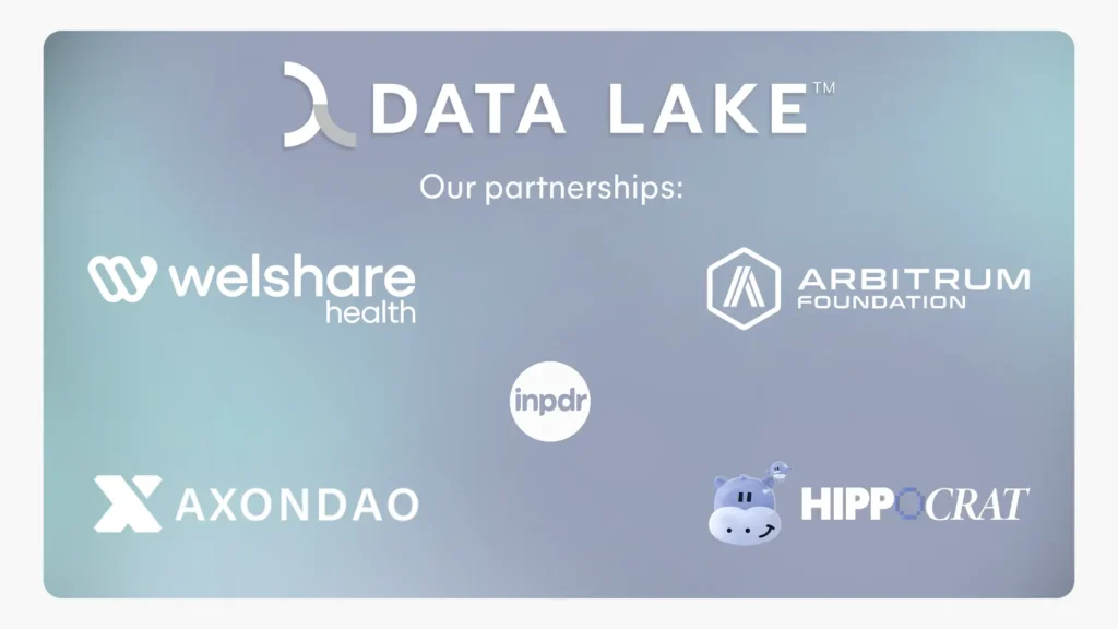 Data Lake partnerships article graphics