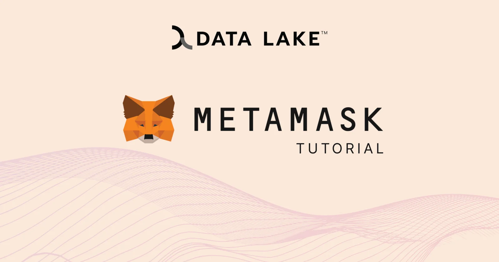 How to start using Metamask graphics Data Lake