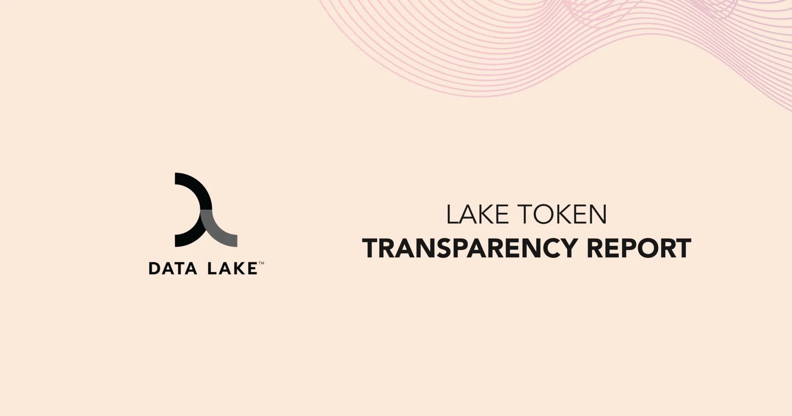 Lake Token Launch Transparency Report graphics Data Lake