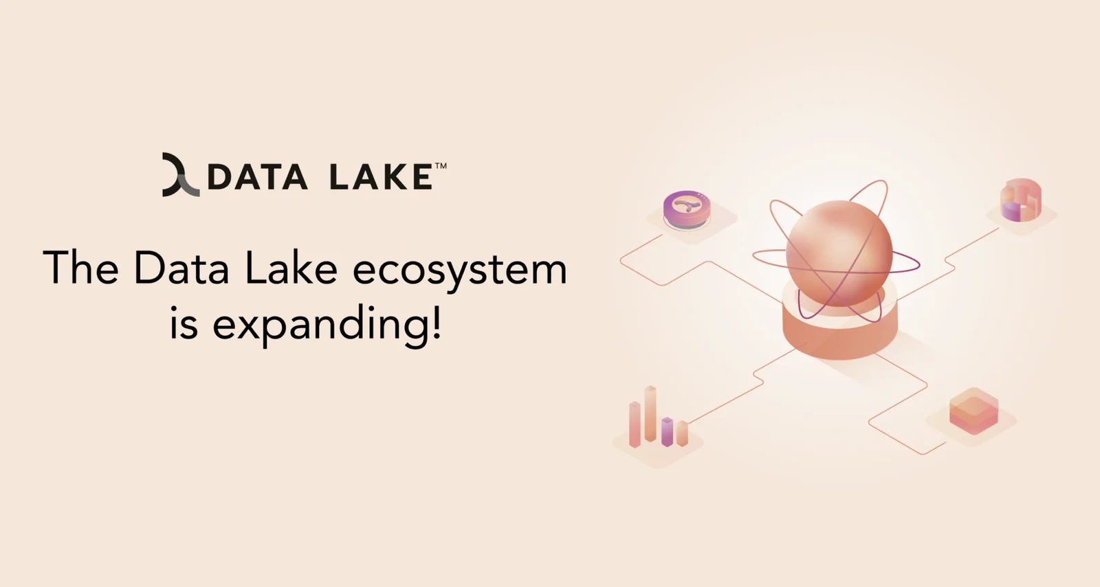 You Can Now Receive $LAKE Tokens by Helping Expand our Ecosystem graphics Data Lake